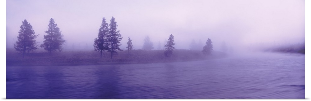 Wyoming, View of trees lining a misty river