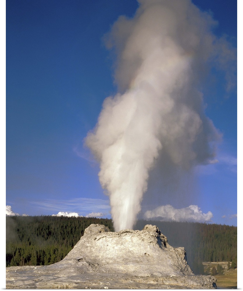 Wyoming, Yellowstone National Park, Castle Geyser, Steam erupting from the thermal pool