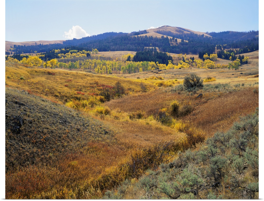 Wyoming, Yellowstone National Park, Lamar Valley, Panoramic view of a landscape