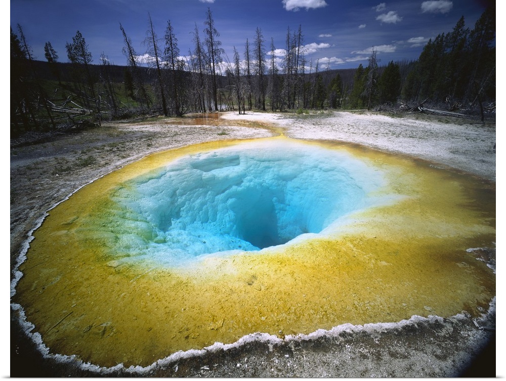 Horizontal, large photograph of colorful Morning Glory Pool surrounded by forest landscape, in Yellowstone National Park, ...