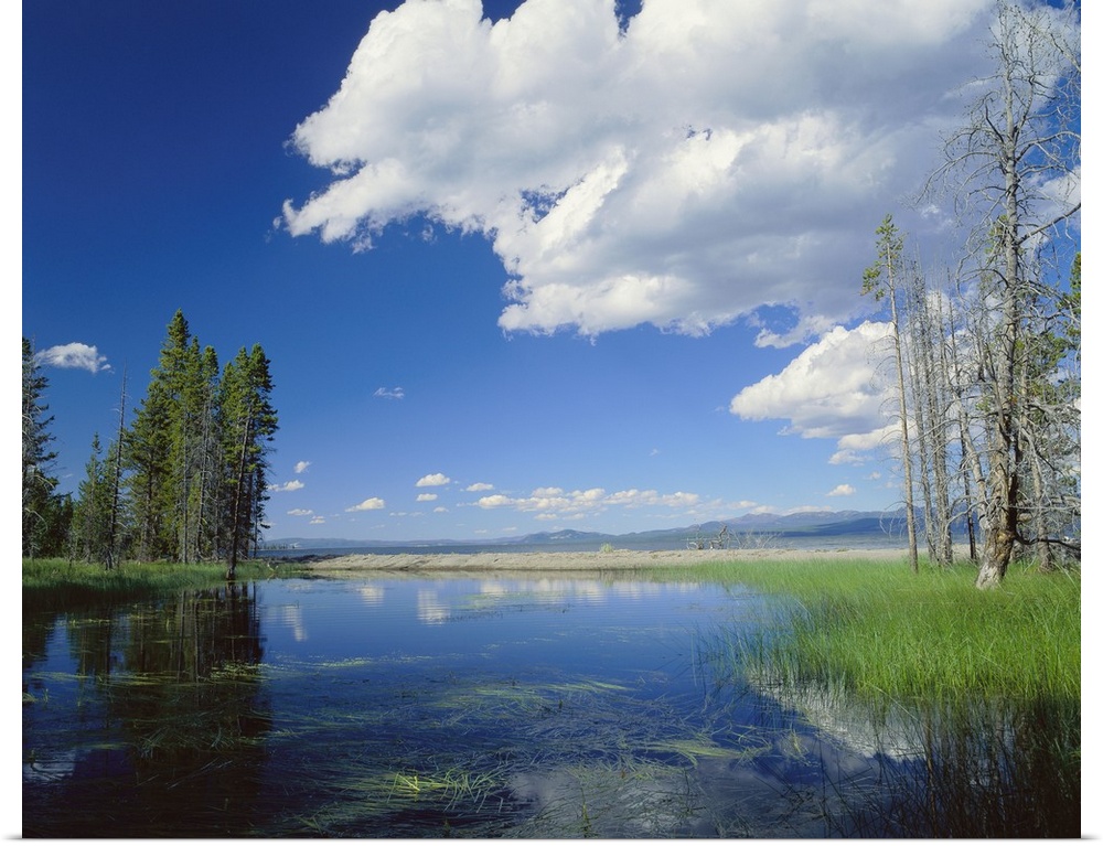 Large photo on canvas of a lake with clouds and a forest reflected in it.