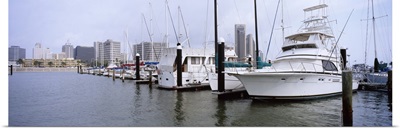 Yachts at a harbor with buildings in the background, Corpus Christi, Texas