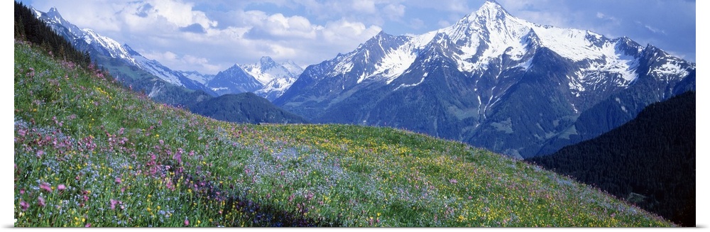 Zillertaler Alpen Austria