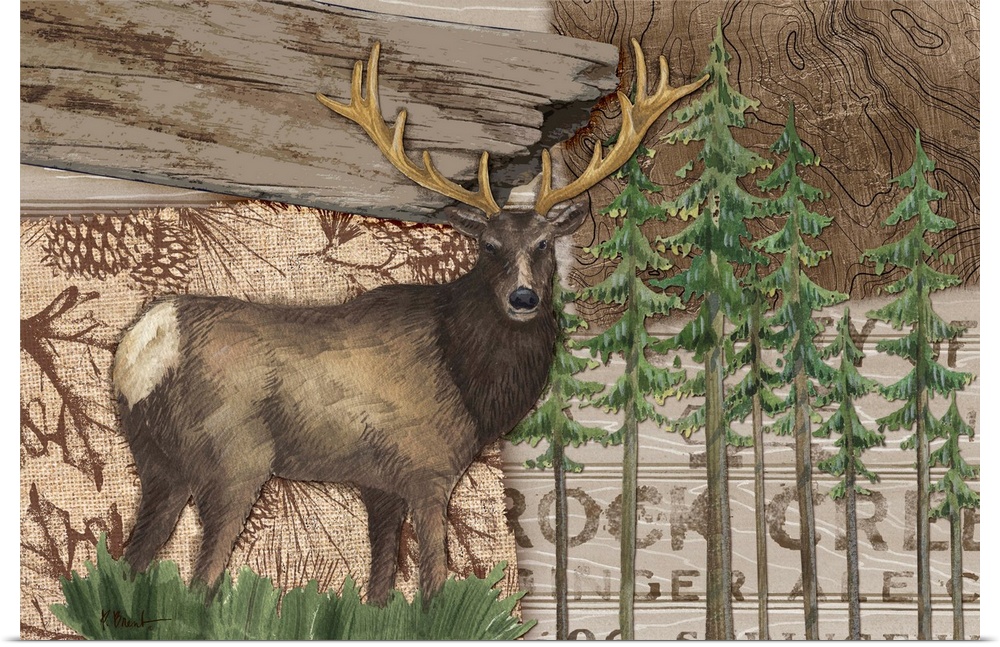 Collage of woodland elements including an elk, trees, and a property sign.
