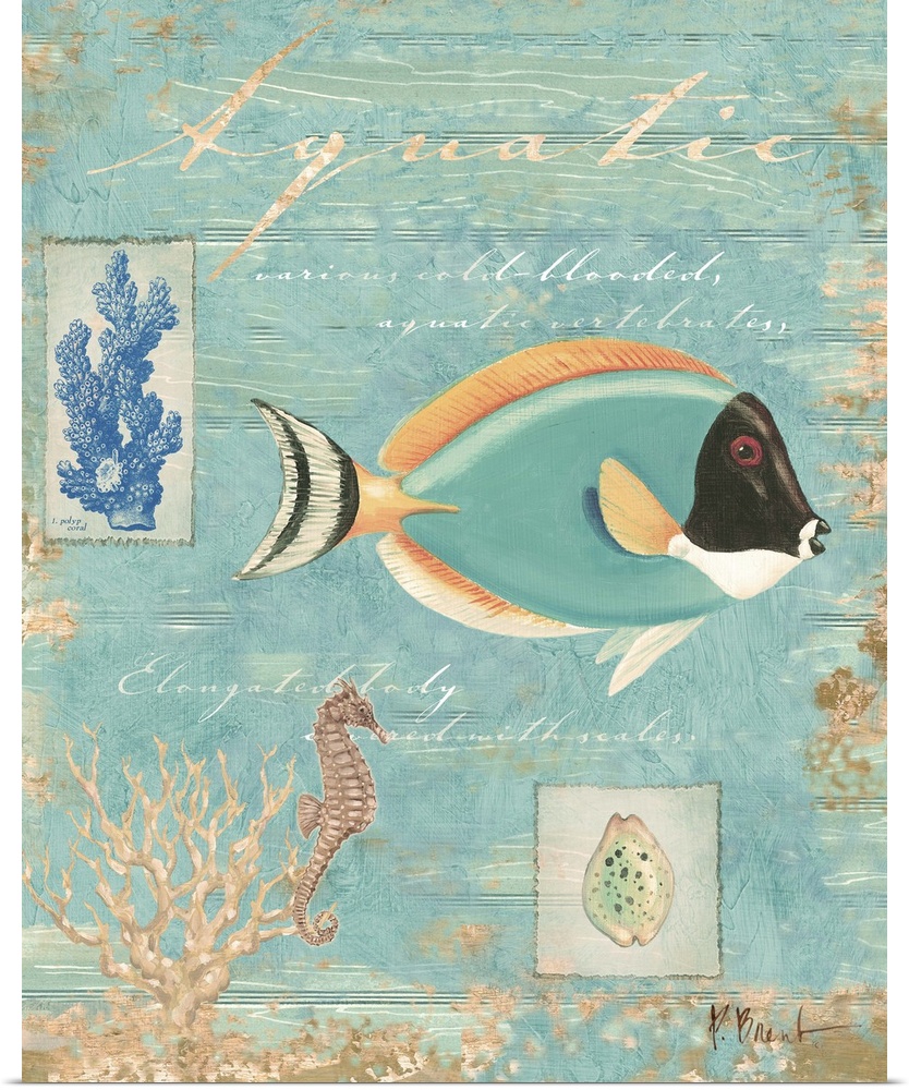Collage of a tropical fish and other marine elements, including shells and coral.