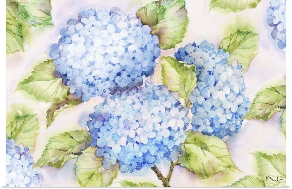 Large watercolor painting of blue hydrangeas and their green leaves on a white background.
