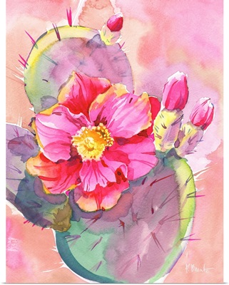 Cactus Bloom I