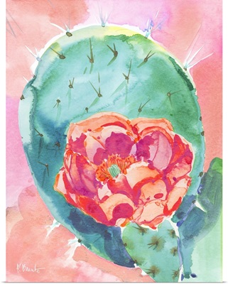 Cactus Bloom II