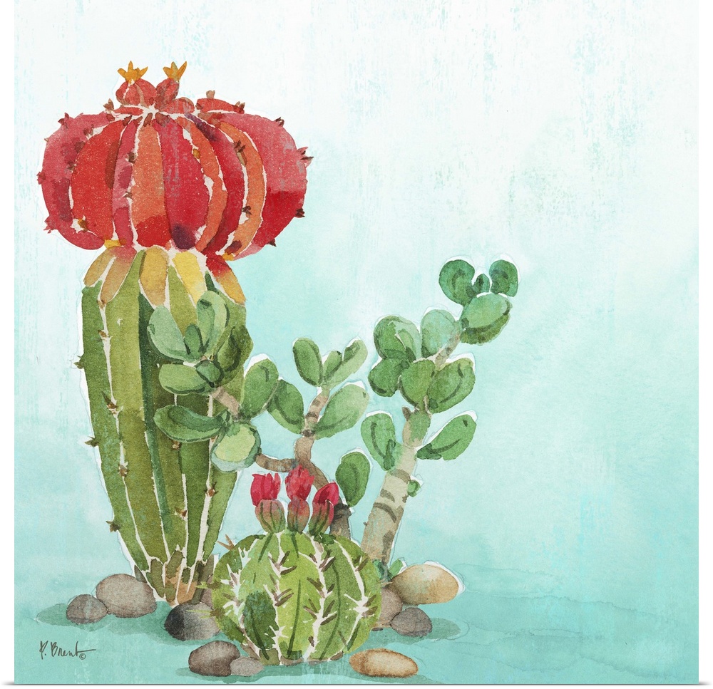 Square watercolor painting of cacti on a light blue and white background.