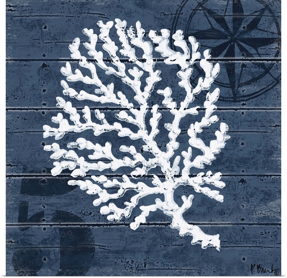 Contemporary decorative artwork of a coral illustration on a dark, nautical background.