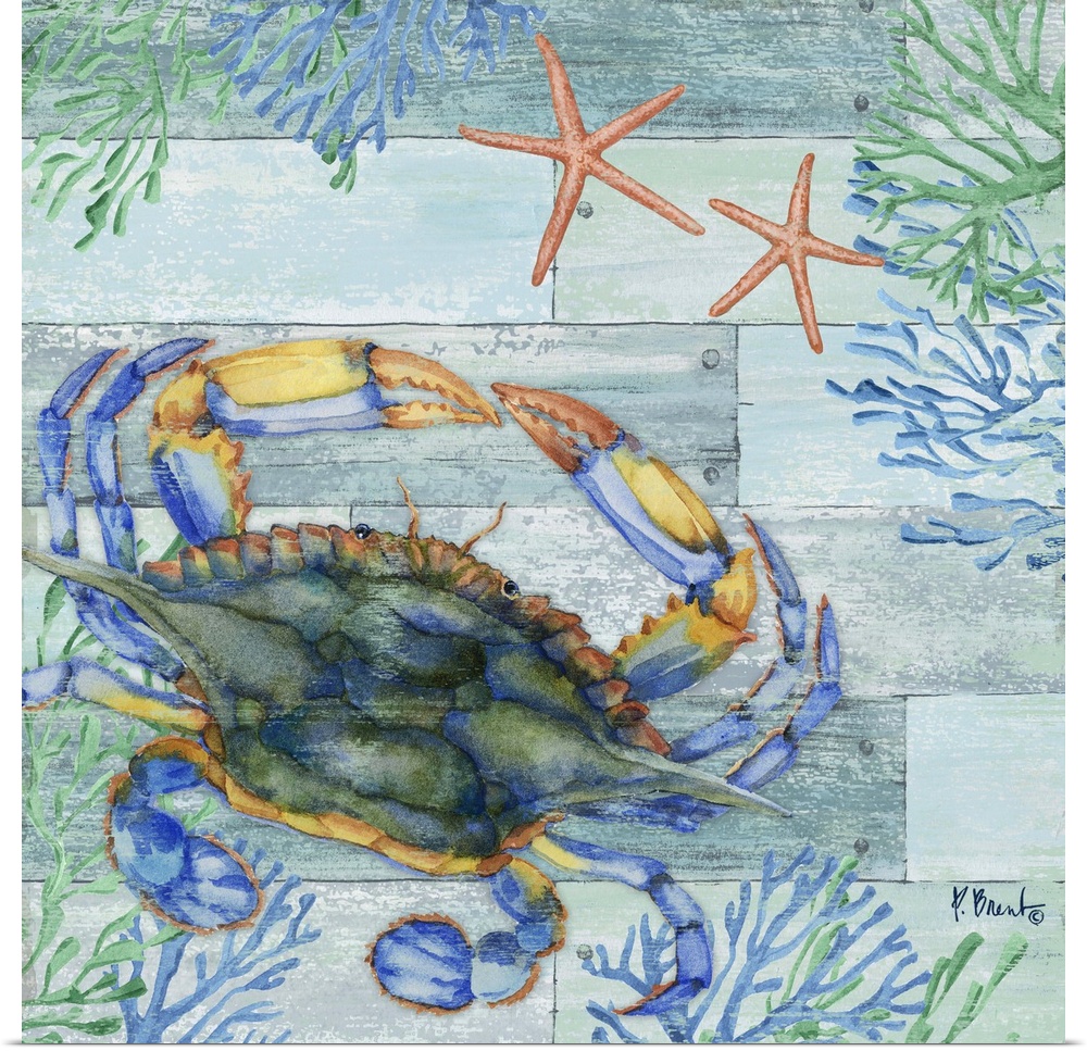 Square beach decor with a crab, starfish, and seaweed in blue and green tones on a faux wood background.