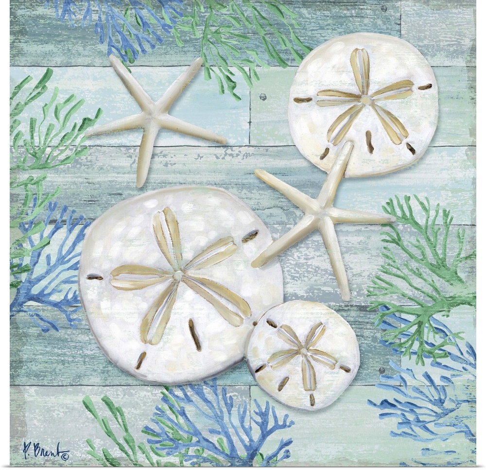 Square sand dollar, starfish and coral decor in light blue, green, and white.