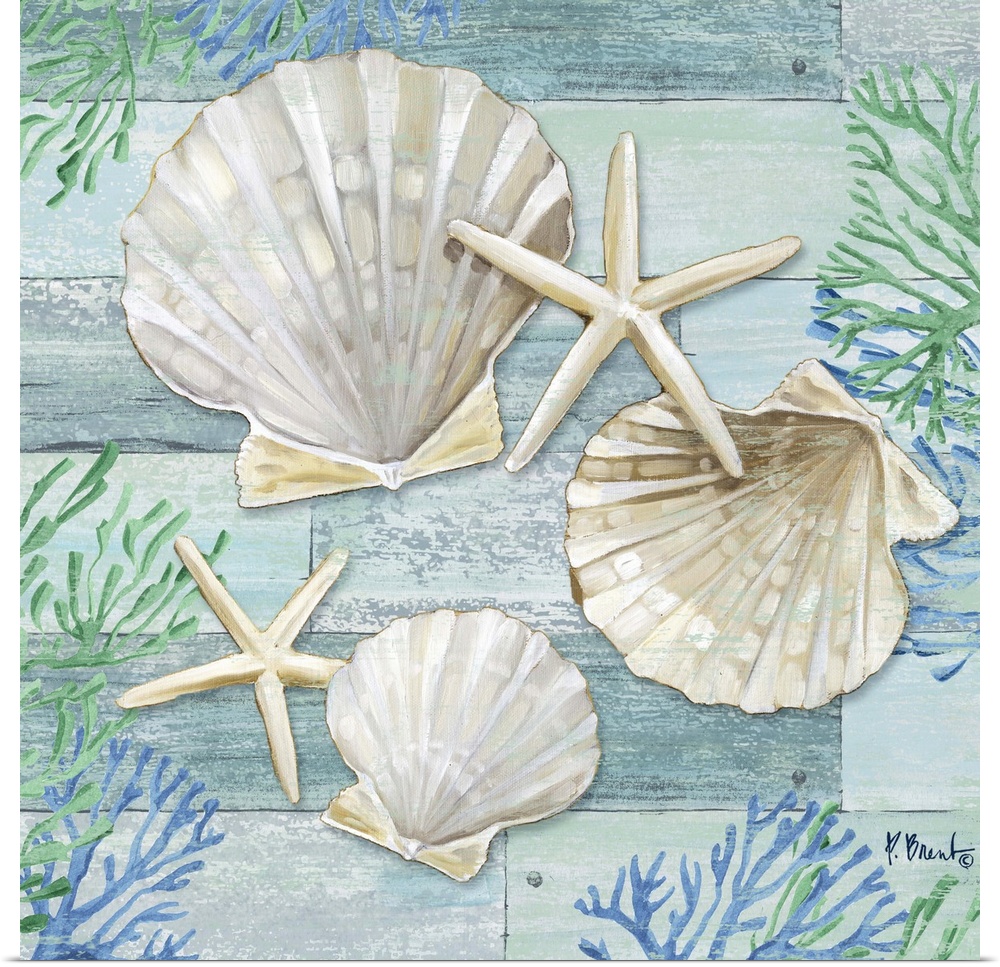 Square shell, starfish, and coral decor in light blue, green, and white.