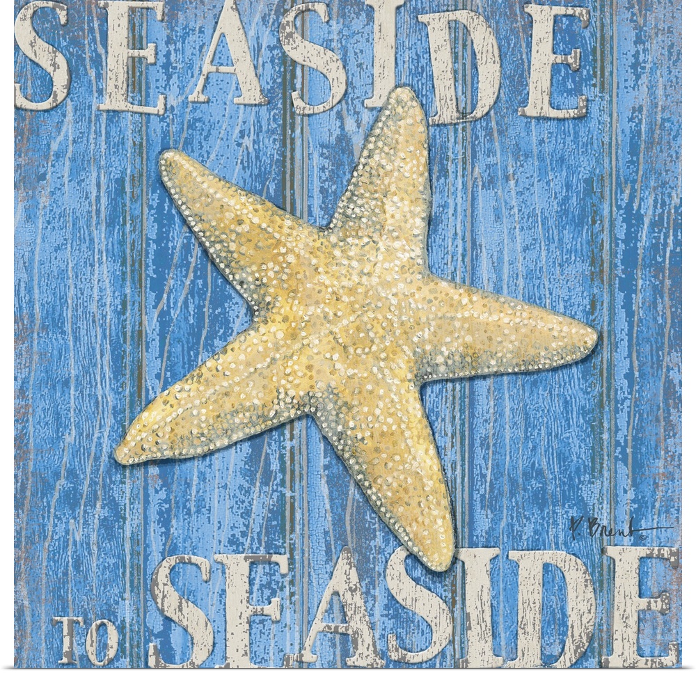 Square painting of a starfish on blue wood panels with the text Seaside to Seaside.