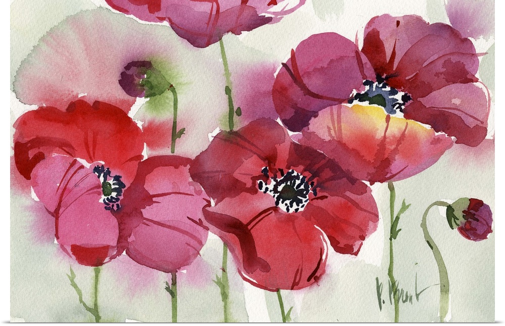 Watercolor painting of a group of brightly colored poppies.