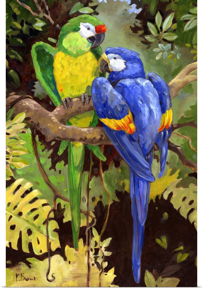 Painting of two brightly colored macaw parrots in a jungle.