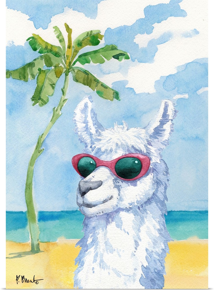Animals with Sunglasses.