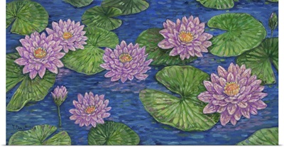 Impressions Of Water Lilies