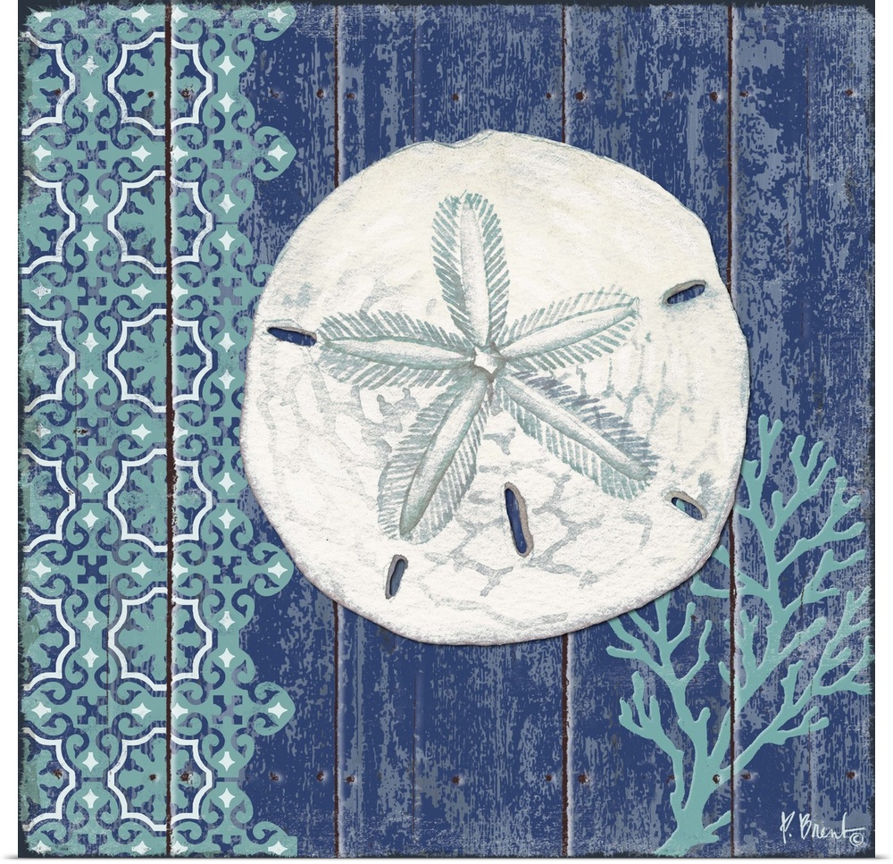 Contemporary decorative artwork of a sand dollar in teal tones on a textured panel background.