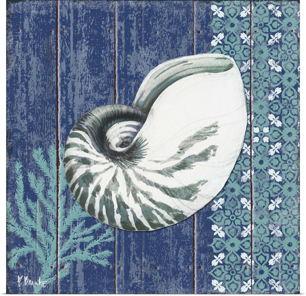 Contemporary decorative artwork of a nautilus shell and a floral pattern on a textured panel background.