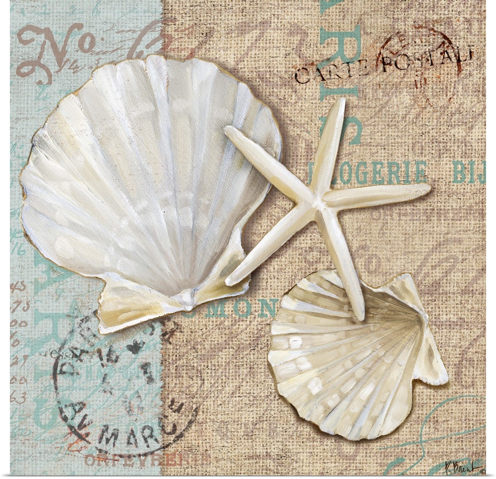 Decorative artwork of a pair of scallop shells and a starfish on a fabric-textured background with faded vintage text.