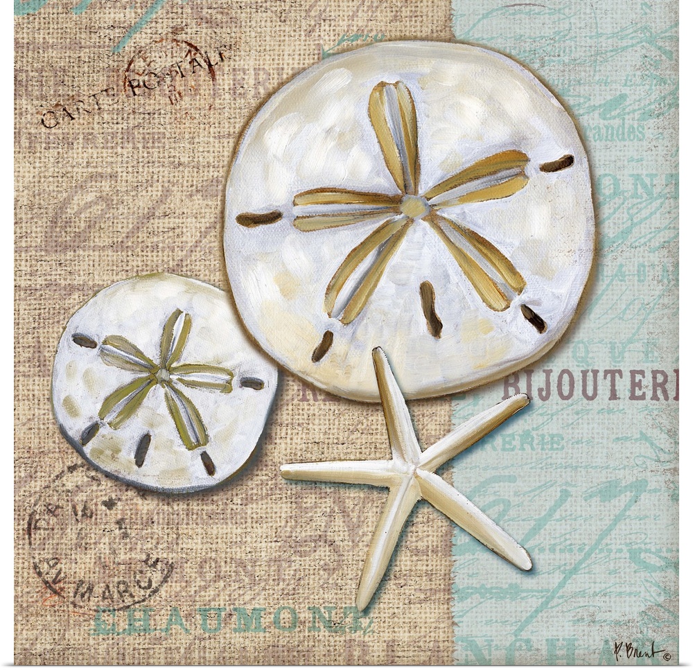 Decorative artwork of a pair of sand dollars and a starfish on a fabric-textured background with faded vintage text.