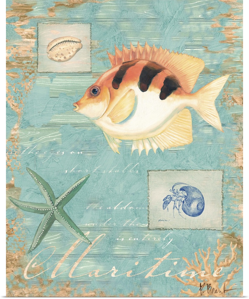 Decorative artwork of a tropical fish on a distressed background with shells.