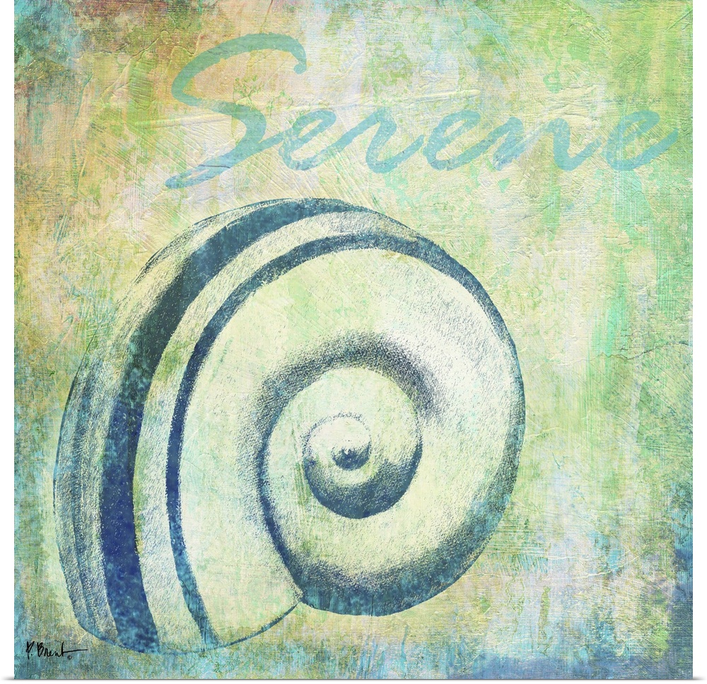Cool-toned artwork with a shell print on a textured background and the text Serene.