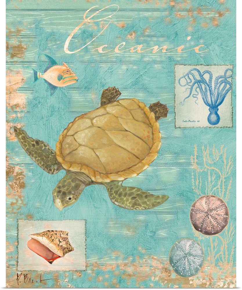 Collage of a sea turtle and other marine elements, including shells and an octopus.