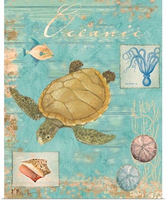 Oceanic Collage Turtle
