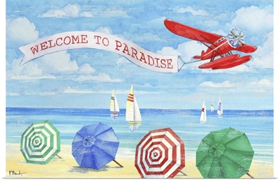 Paradise Sea Plane
