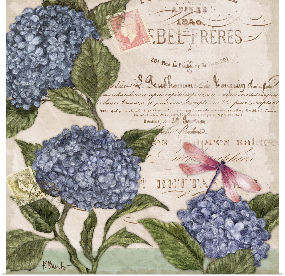 Decorative mixed media panel featuring three hydrangea blooms, a vintage letter, and a dragonfly.