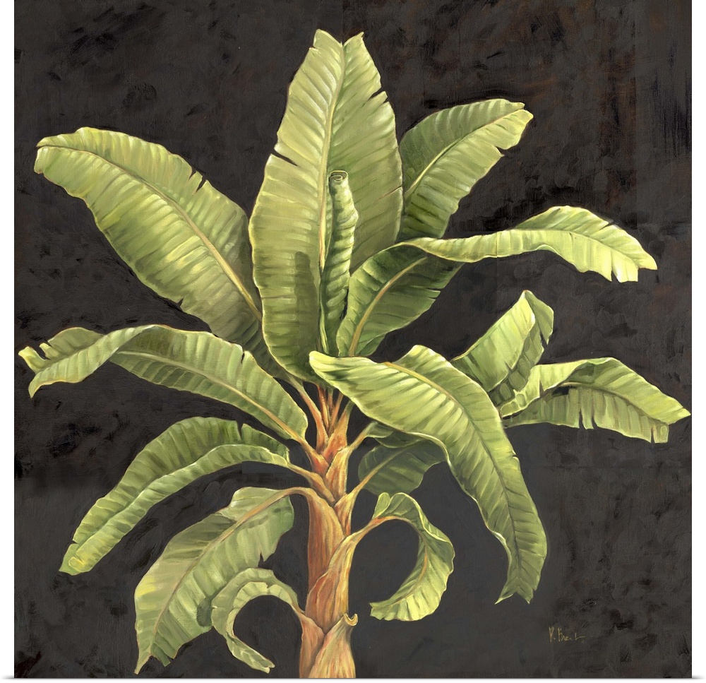 Painting of the top of a palm tree with broad fronds.