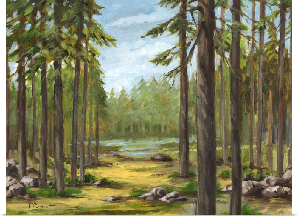 Contemporary landscape painting of a forest with tall pine trees and a river.