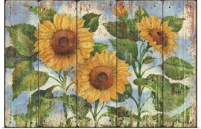 Summer Sunflowers -Distressed