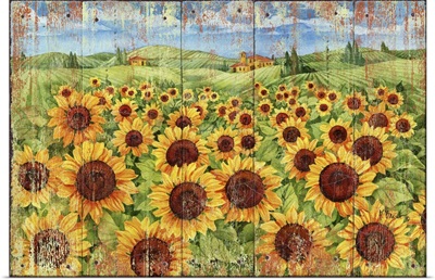 Sunflower Field Distressed