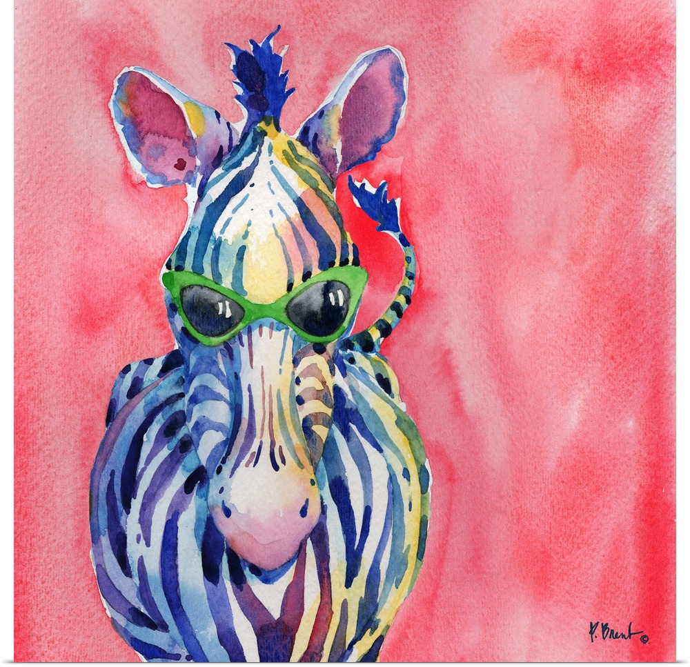 Square watercolor painting of a zebra wearing green sunglasses on a pink background.
