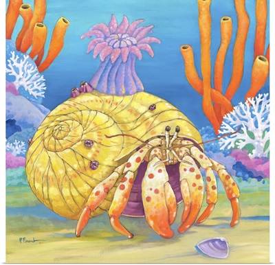 Under the Sea- Hermit Crab