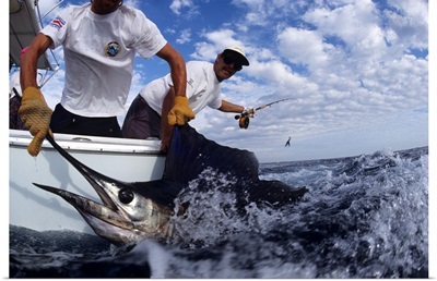 Deep sea fisherman catching a swordfish