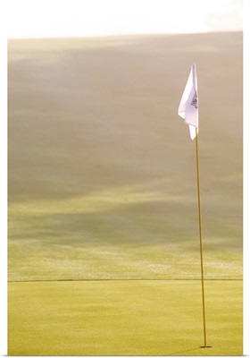 Flag on green of golf course
