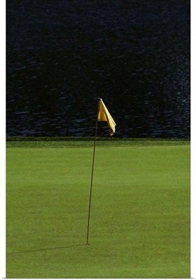 Golf flag on the green