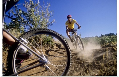 Recreational mountain biker riding on the trails