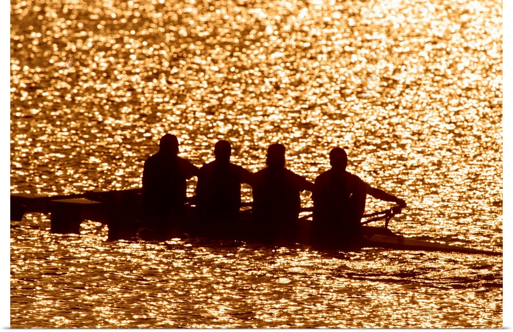 Silhouette of men's fours rowing team in action.