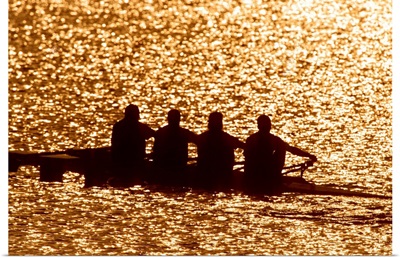 Silhouette of men's fours rowing team in action