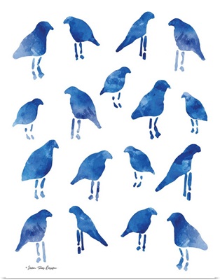 Bleu Birds