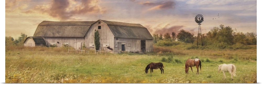 Horses grazing in a field near a large barn in the country.