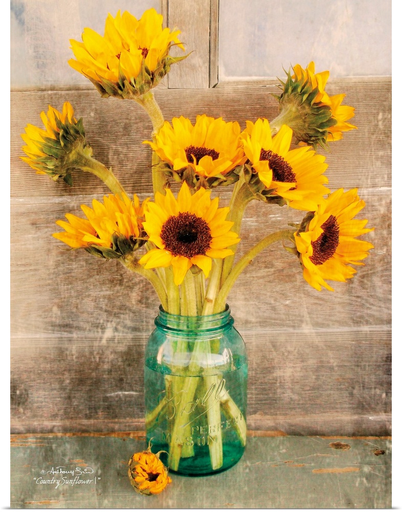 Decorative artwork with a bouquet of sunflowers in a ball mason jar vase over a distressed wood background.
