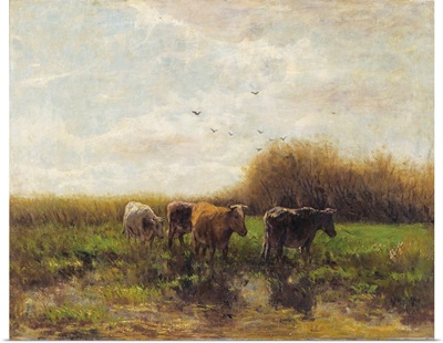 Cows At Sunset