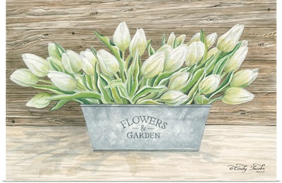 Flowers and Garden Tulips