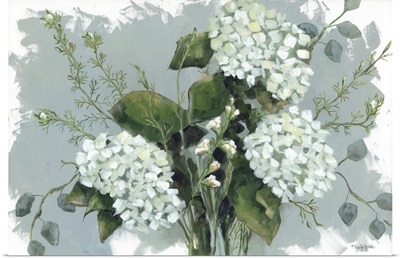 Hydrangeas In White